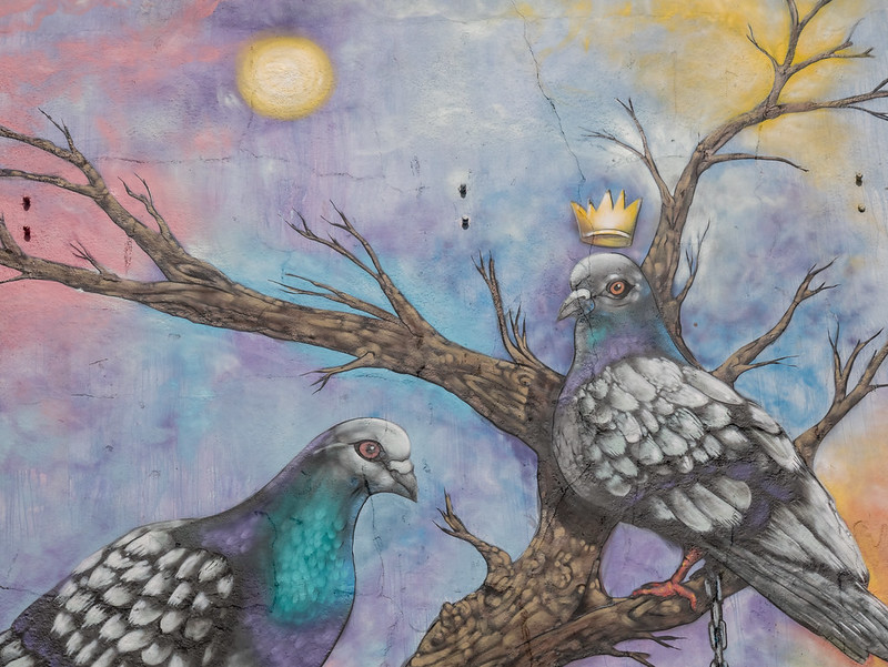 King Pigeon Mural, Belfast