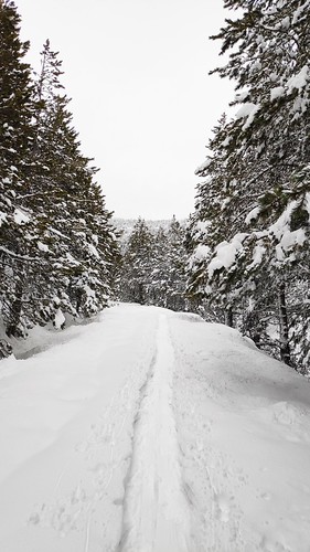 IMG_20200125_100925