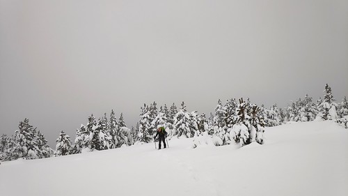 IMG_20200125_123810