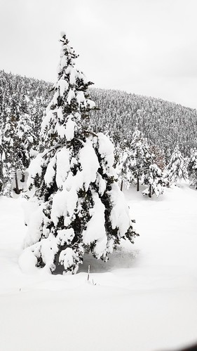 IMG_20200125_103603_1