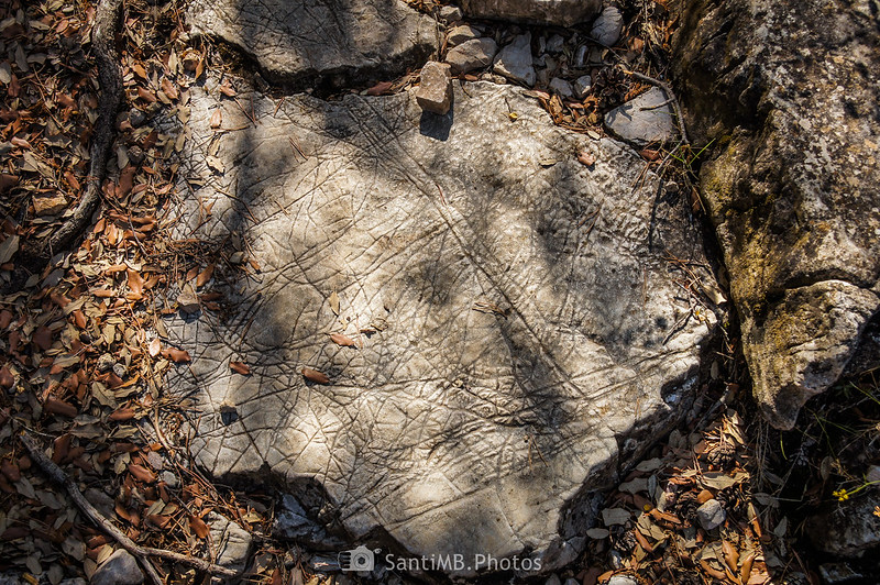 Roca con textura de piel de elefante cerca de la Collada de les Hortasses