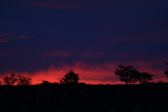 Sunset. Kgalagadi Transfrontier Park/ Kalahari Desert. South Africa. Nov/2019