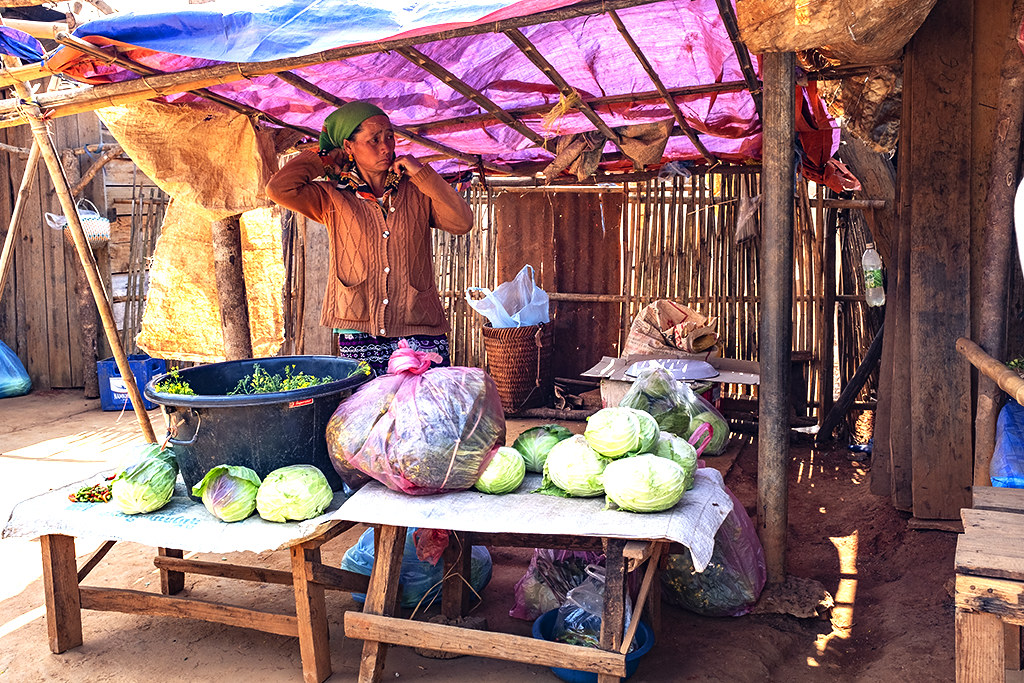 Woman selling cabbages--Ban Tha Jok