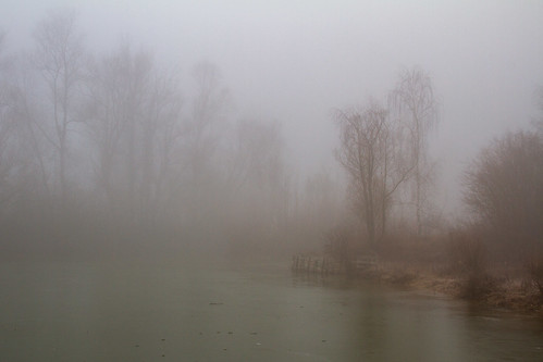 brouillard étang fog mist pond paysage landscape nature trees éthéré vaporeux mélancolie bourgogne burgondy france gel glace ice frost winter hiver canon
