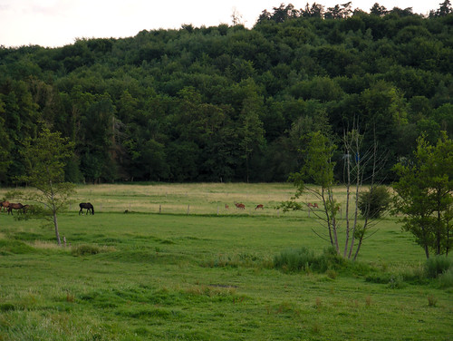 Aux Biches by Wallorando, Pierrefonds, France1260mm camera countryside france g80 hautsdefrance landscape lens lumix oise pier