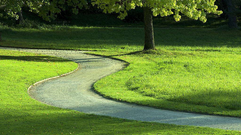 Park Path in Late September Light