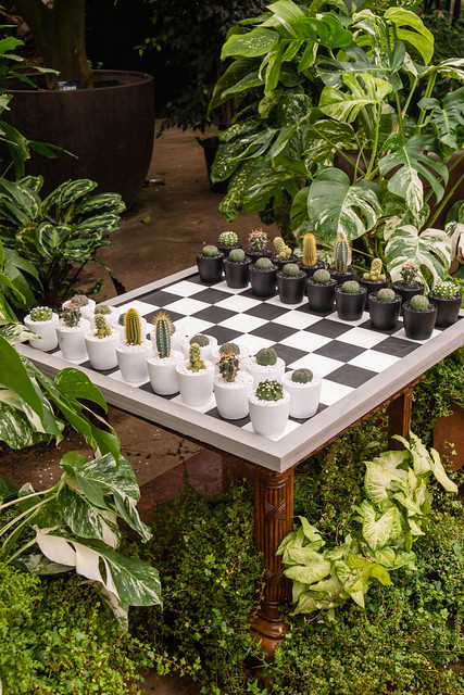 Houseplant chess