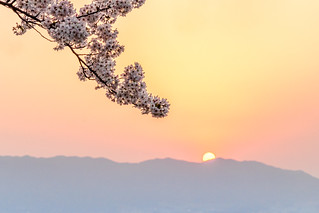 Asuka sunset