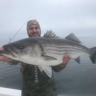 Photo of man holding a large striped bass