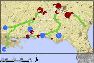 This map from the SimCCS software developed by LANL shows potential carbon sources (red dots), sinks (blue dots), and proposed optimal pipelines (green). 