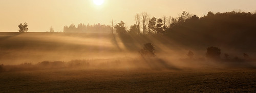 landscape panorama backlit groundfog morningfog wellingtoncounty ontario canada