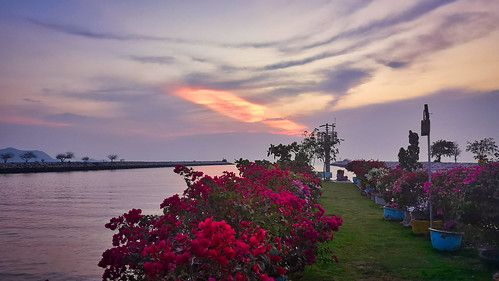 thailand sunset beach ocean sky clouds sea blue summer sand seascape rocks coast flowers