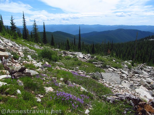 Finally views and wildflowers along the Wanless Lake Trail, Cabinet Mountains Wilderness, Montana