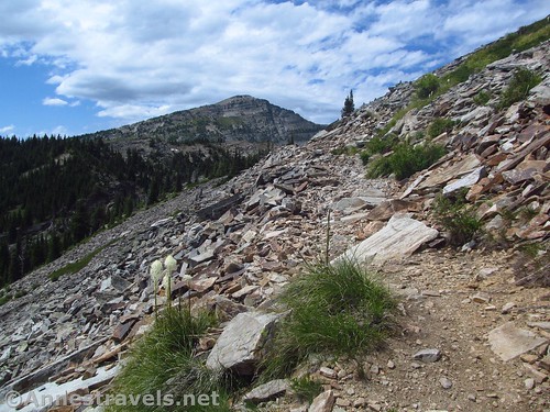 The Wanless Lake Trail becomes scree before passing below Goat Peak, Cabinet Mountains Wilderness, Montana