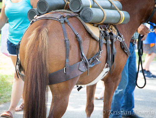 military-horse-tack-Breyerfest-2019