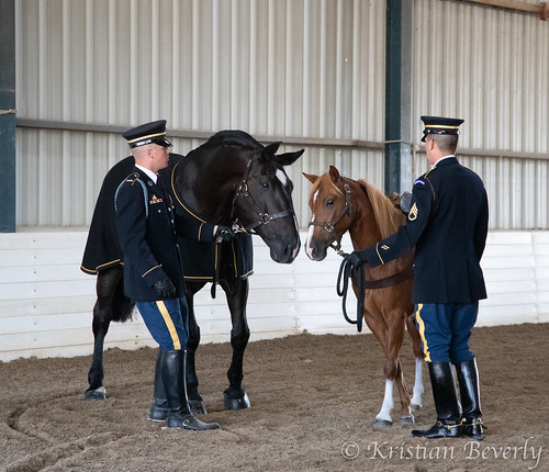 Sergeant-Reckless-Military-Horse-Breyerfest-2019