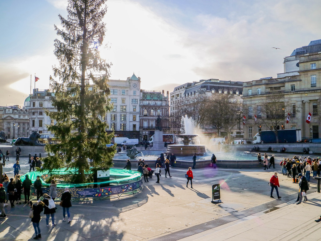 Arbol de Navidad en Trafalgar Square Arbol de Navidad en Trafalgar Square
