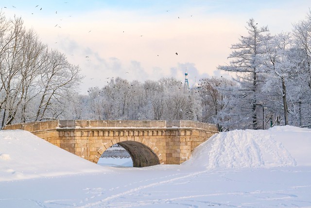Зимний пейзаж Дворцового парка в Гатчине. Из серии фотоснимков от 28 января 2019  (12)