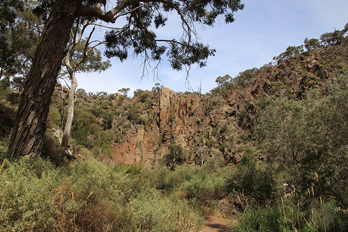werribeegorgestatepark cliffs tree landscape victoria australia werribeegorgecircuittrack werribeeriver summer