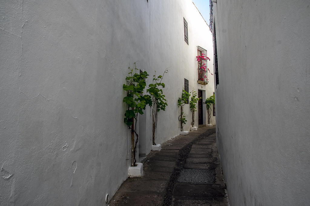 Córdoba, Calleja del Pañuelo | Calleja del Pañuelo de Cór… | Flickr