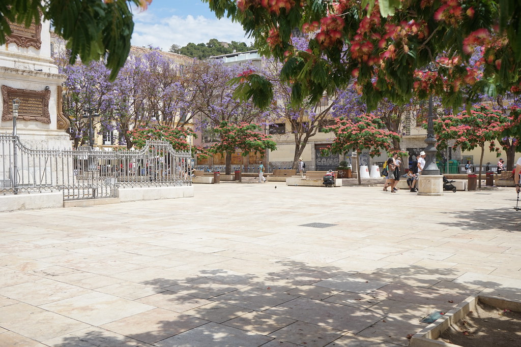 A small pedestrian only square, with trees with purple flowers on all sides.