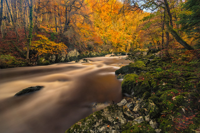 Autumnal Afon Conway