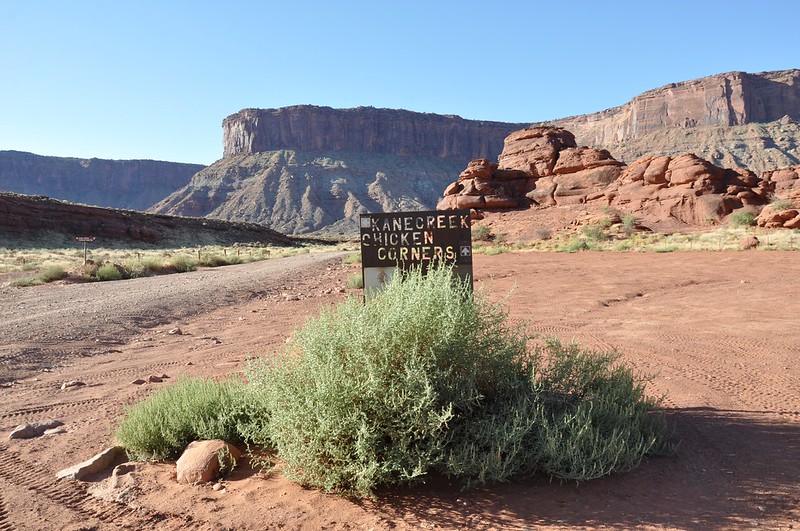 Kane Creek Road Petroglyphs to Ledge Campgrounds ~ Moab