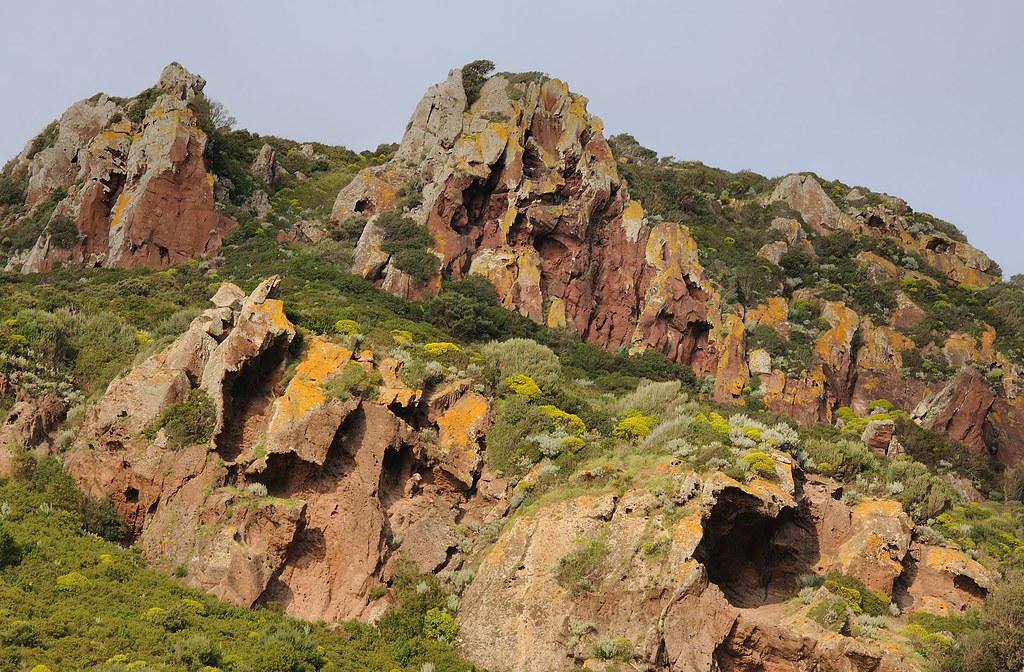 Felsen und Küstenvegetation bei Alghero