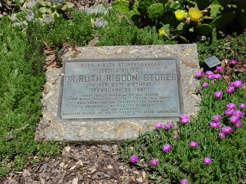 Ruth Risdon Storer memorial monument