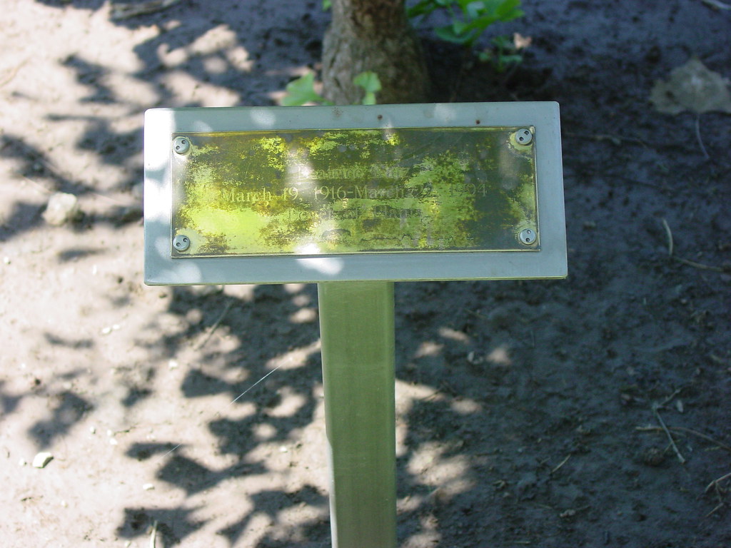 Beatrice Katz memorial tree plaque