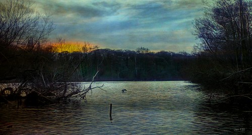 jan130 lake trees water bird sunrise landscape cormorant texture january2020 topazstudio poem wyndleypool suttonpark suttoncoldfield englanduk ngc npc
