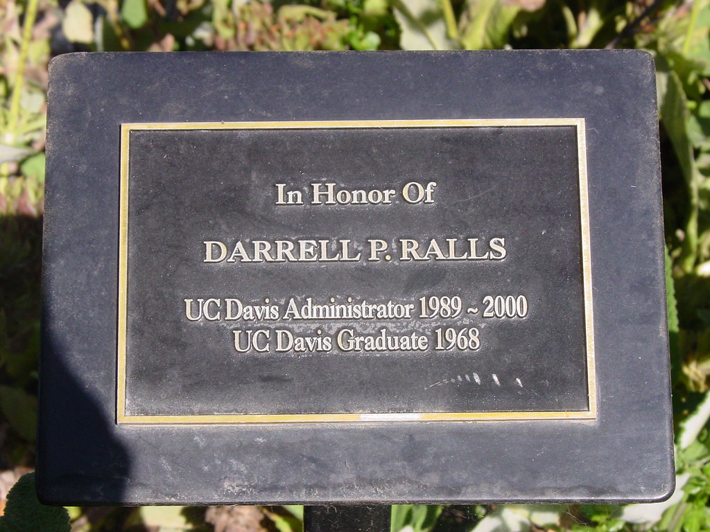 Darrell Ralls memorial