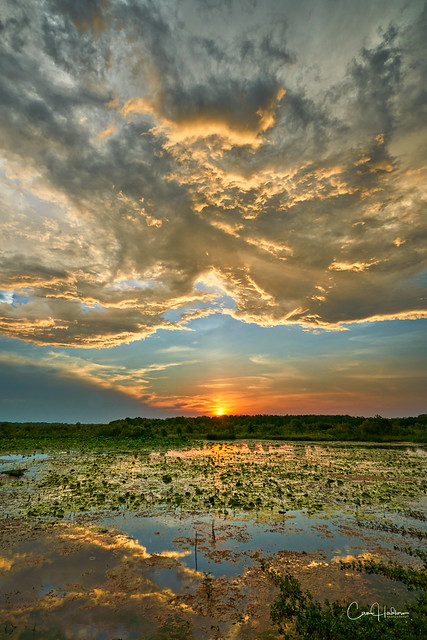 Sunset at Fogg Dam wetlands, Northern Territory