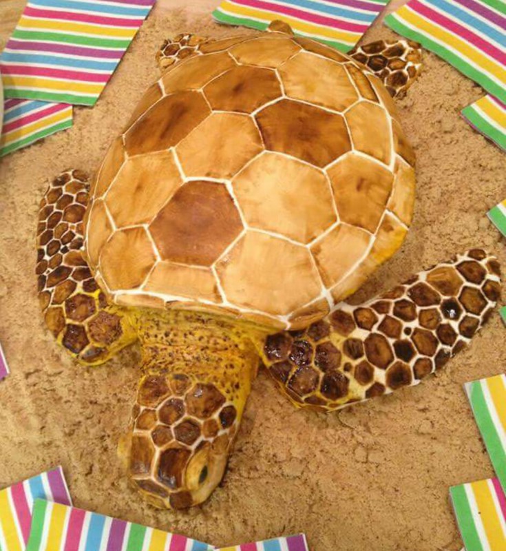 Sea Turtle Graduation Cake. By Cuppa Cuppa Bakery