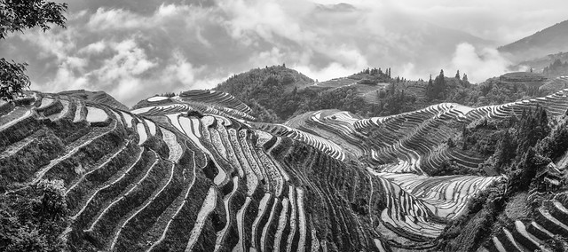 Longji Rice Terraces, Guangxi Province, China