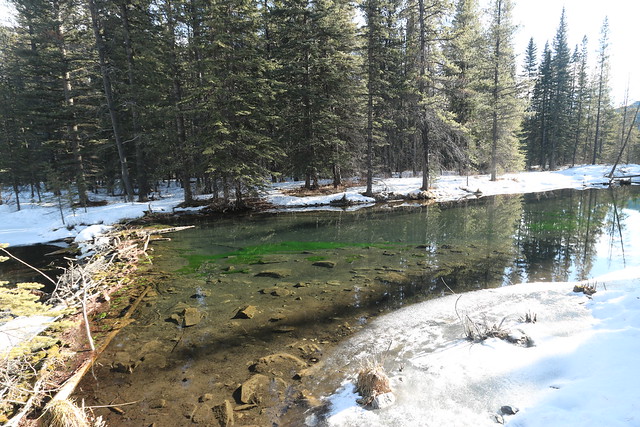 The Beaver ponds Kananaskis Alberta Canada January 2020