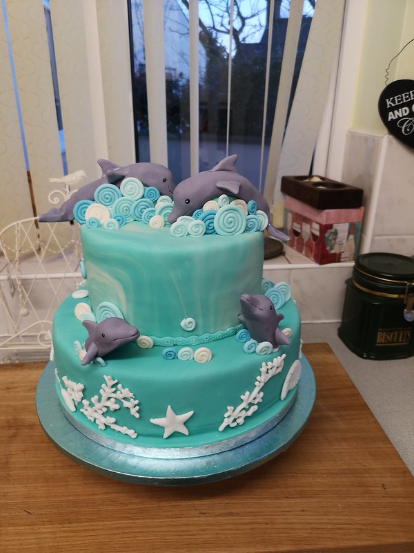 Dolphin Fun by Sue's Cakes