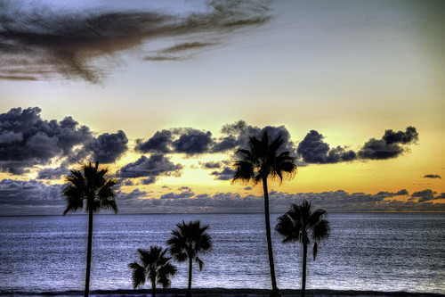 southern california united states nature beauty usa tropical paradise sunrise palm trees outdoor landscape seascape walkabout beachbumsphotography sunset photography travel beach sand sun pier strand ngc nationalgeographicgroup beachbums canon 40d 50d 60d 70d 80d 5dii walknshoot supershots