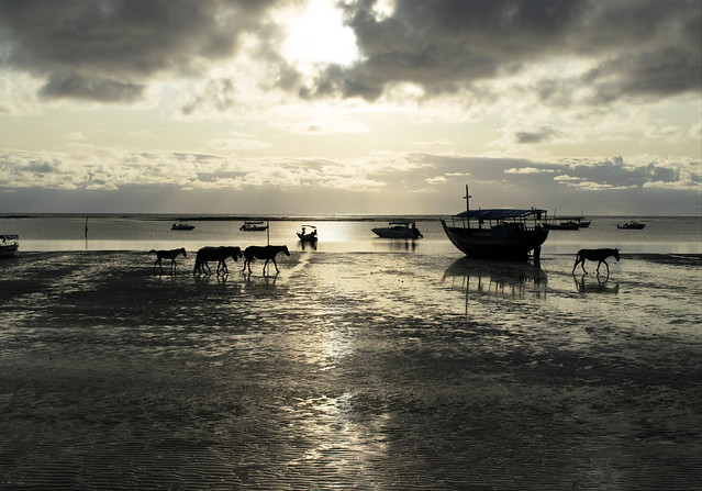 Bronze light at Morere Beach, Boipeba Island, Brazil, at low tide, just after dawn