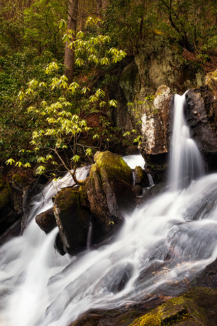 Waterfall on Fall Branch Creek
