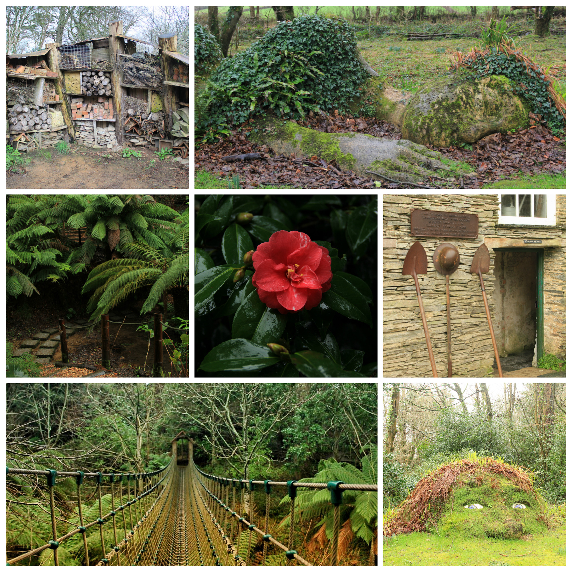 Lost Gardens of Heligan_ Cornwall