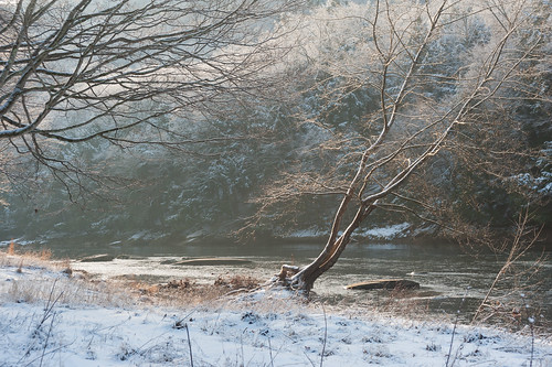 sepan nikon d700 pa pennsylvania lightroom cookforest statepark clarionriver tree river seasons winter snow sunlight