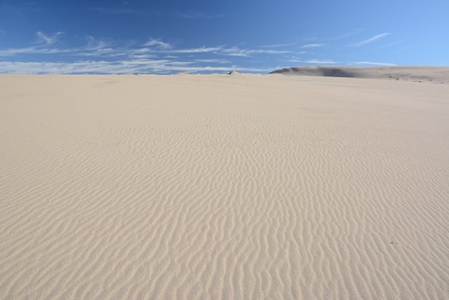 Guadalupe-Nipomo Dunes Preserve, California | by Evan Lowenstein