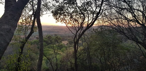 sunset sunsets magaliesburg southafrica magaliesburgsouthafrica south africa montain mountains tree trees views