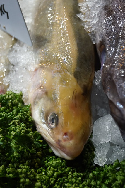 Arctic Char, Furness Fish Markets, Borough Market, Southwark Street, Borough of Southwark, London, SE1 (1)