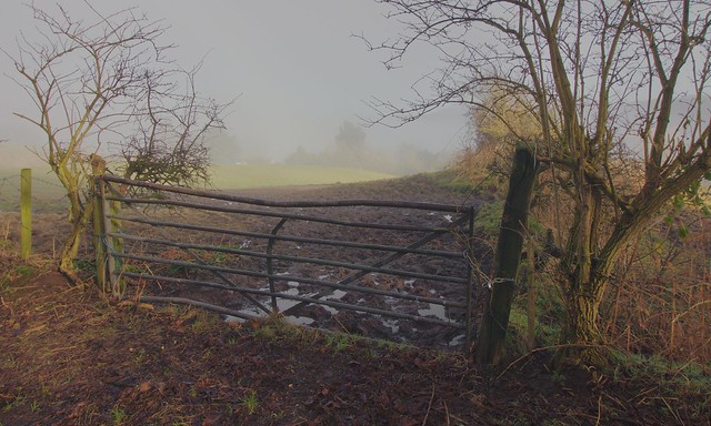 Farmland mist
