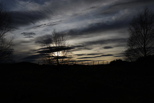 aberdeenshire scotland landscape sunset trees silhouette sky cloud nature tomnaverie topic abigfave