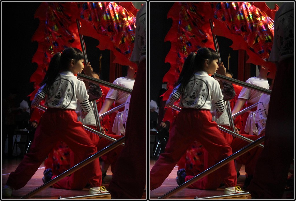 Lunar New Year Festival, Chinese Community Center, Houston… Flickr