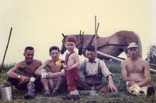 Slåttonn på garden Sagen i Sørum i 1960 | by arneingesebo