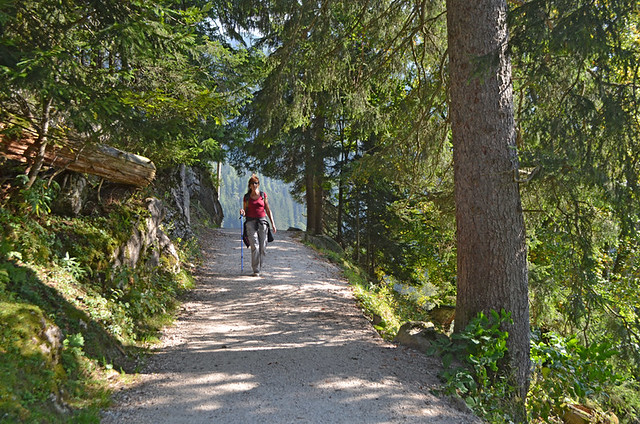 Walking in the forest, Bavaria